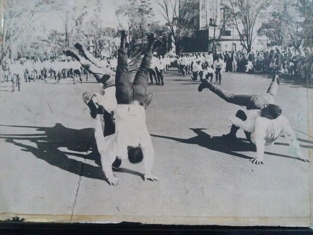 HORCADOS
